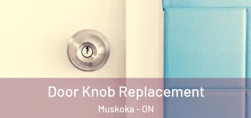  Door Knob Replacement Muskoka - ON