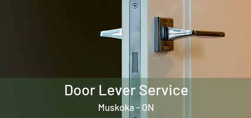  Door Lever Service Muskoka - ON