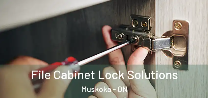  File Cabinet Lock Solutions Muskoka - ON