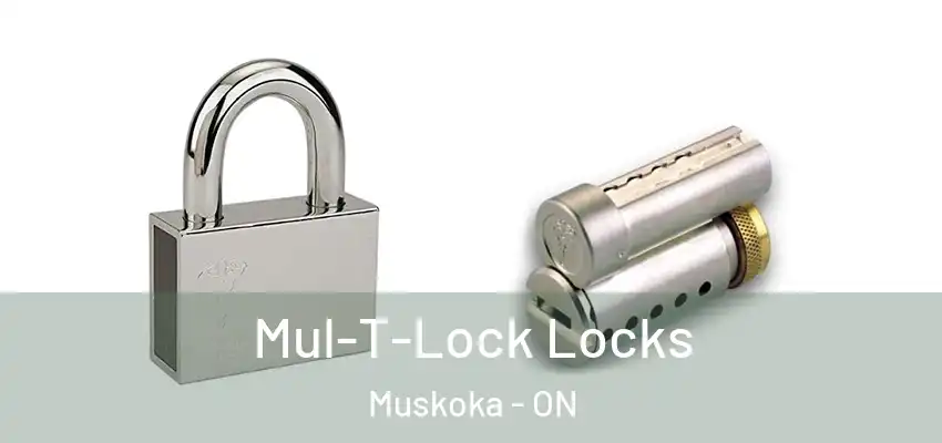  Mul-T-Lock Locks Muskoka - ON